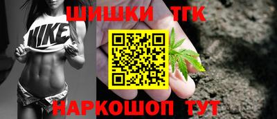 индика Гусиноозёрск