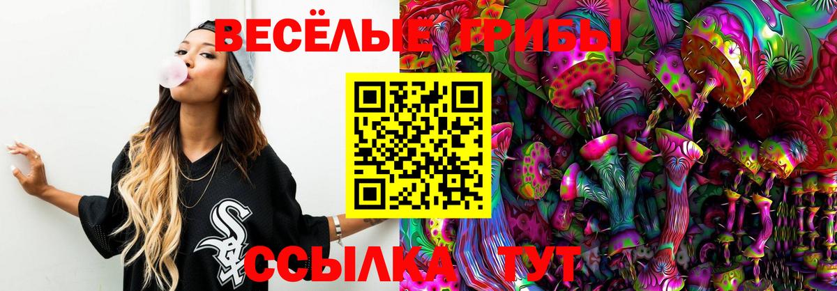 Ефремов  Псилоцибиновые грибы мицелий  Вход с VPN 